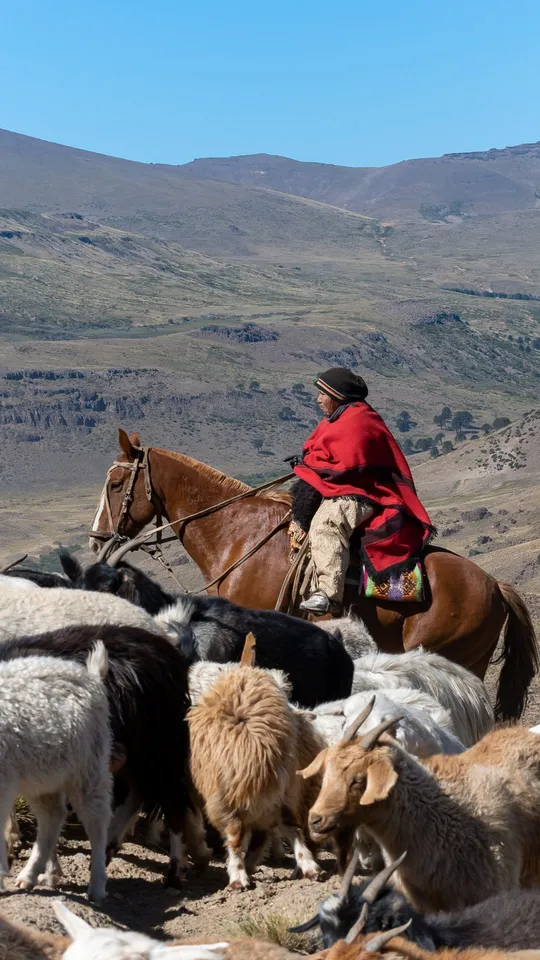 Gaucho argentino a cavallo